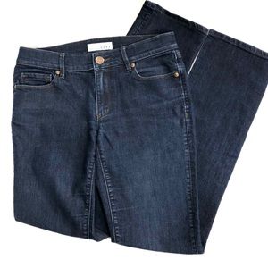 Loft Ann Taylor Modern Fit Jeans
